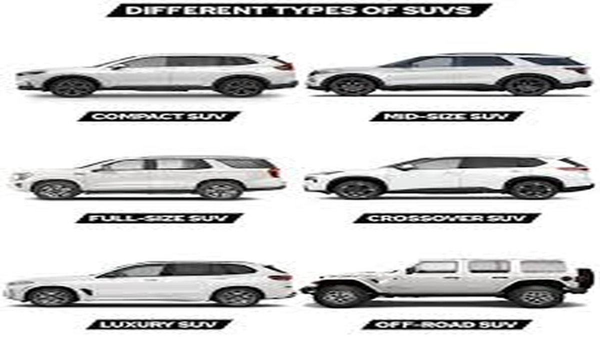 The Shifting Sands of Desire | Understanding SUV Popularity's Grip